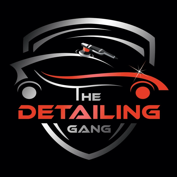 logo-the-detailing-gang-webp